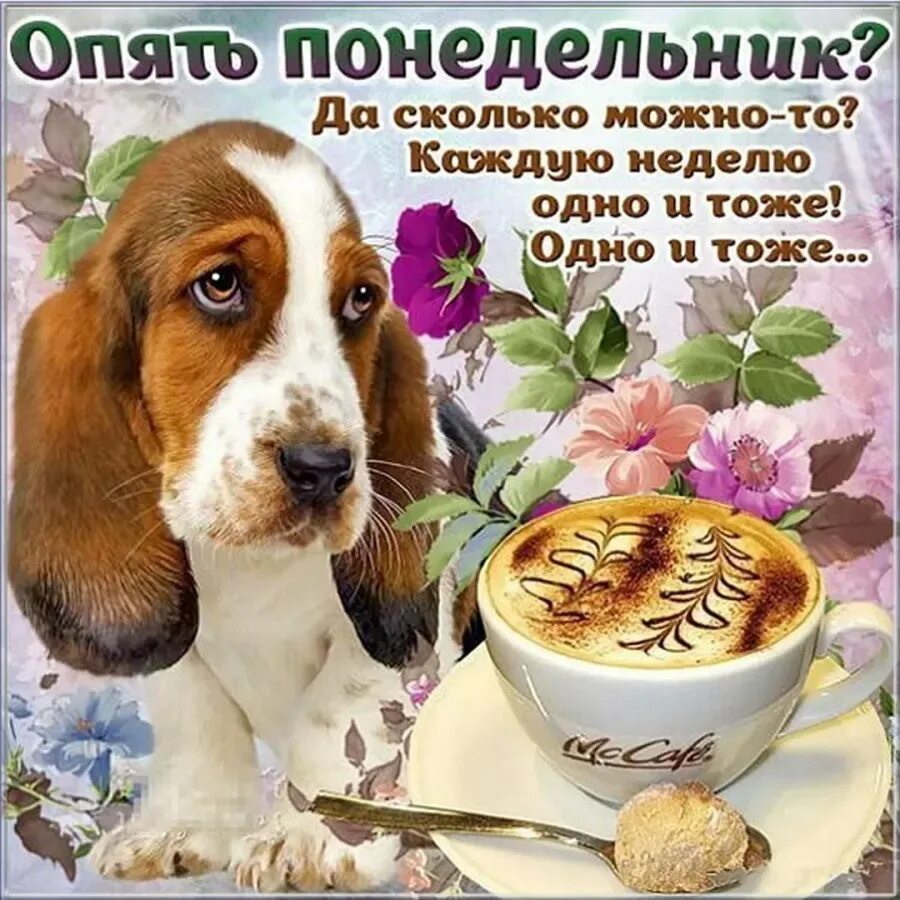 Доброе утро доброй недели картинки. Поздравление с понедельником. открытки с добрым утром прикольные. открытки с добрым понедельником. забавные открытки с добрым утром.