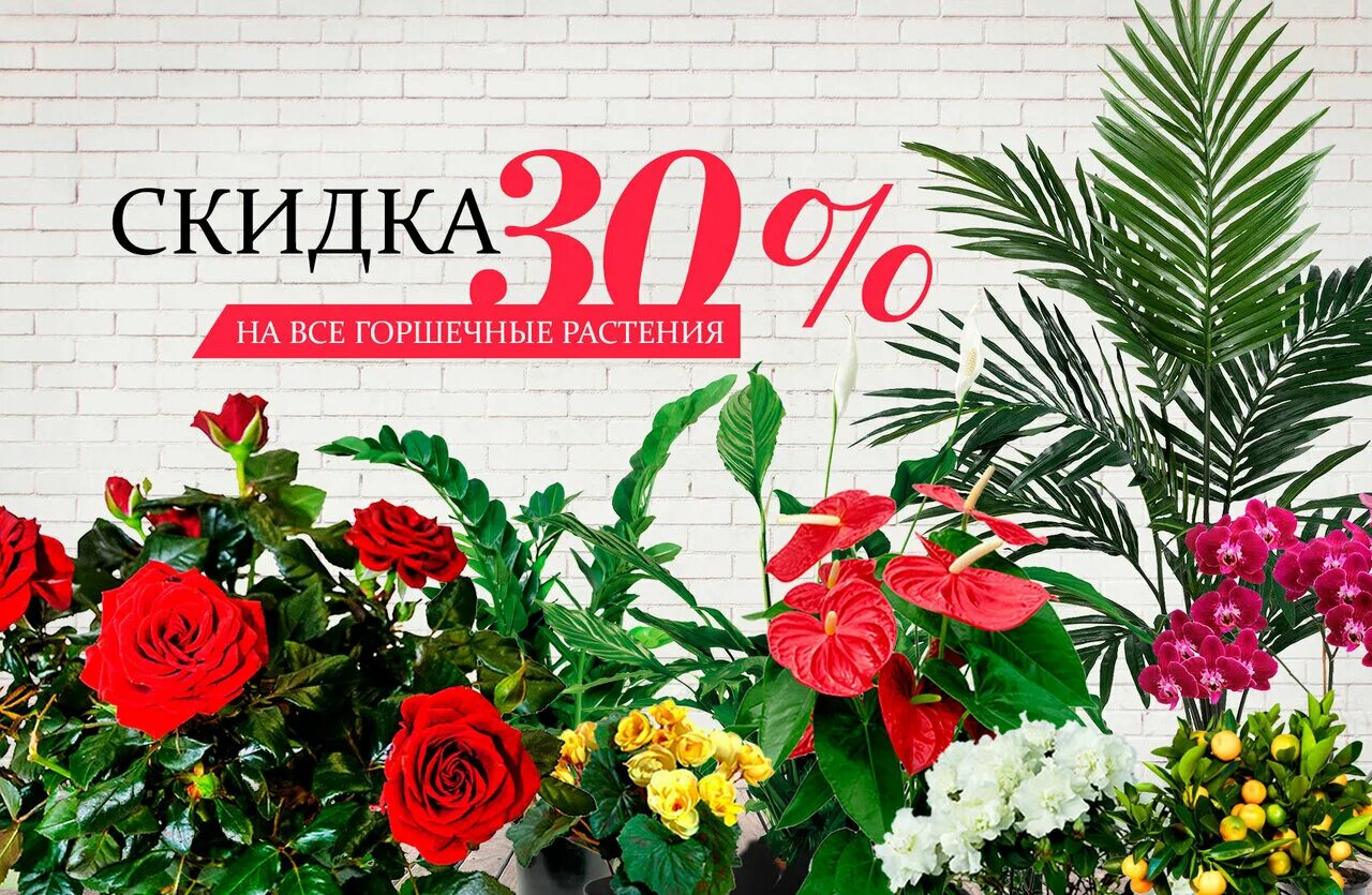 Отзывы про цветы. Отзывы про цветы. Отзывы цветы. Отзывы про цветы. Отзыв о цветочном магазине хороший.