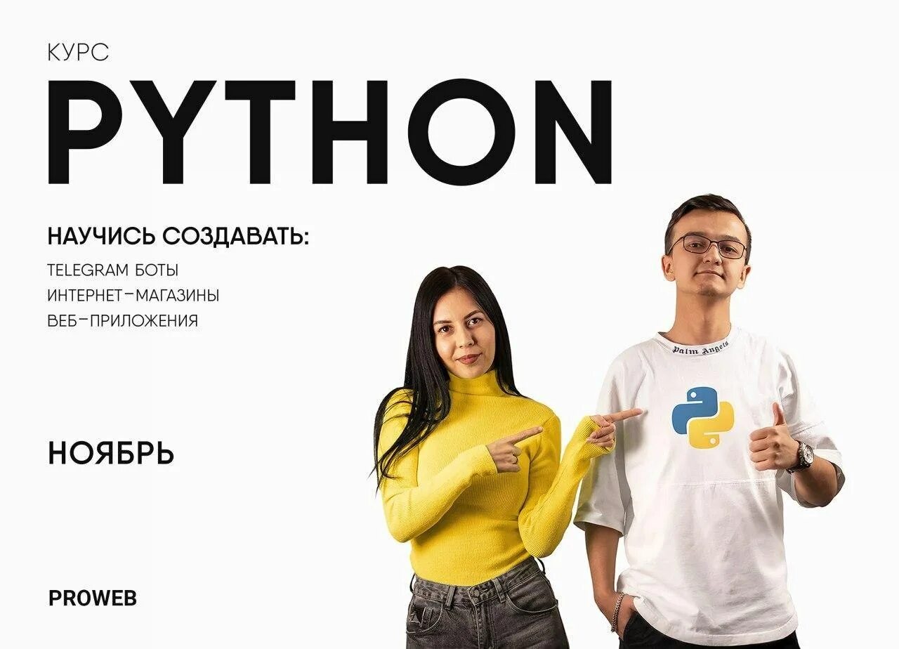 Курсы питон с нуля. Веб сайт. proweb. proweb картинка. провеб курсы.
