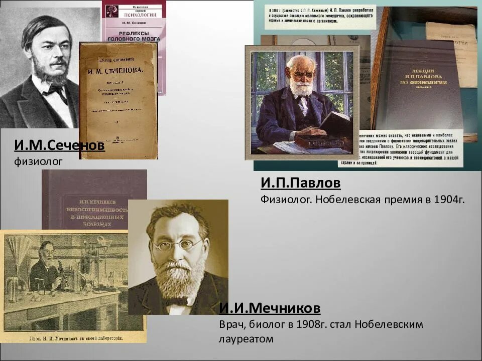 Культура и наука 19 в