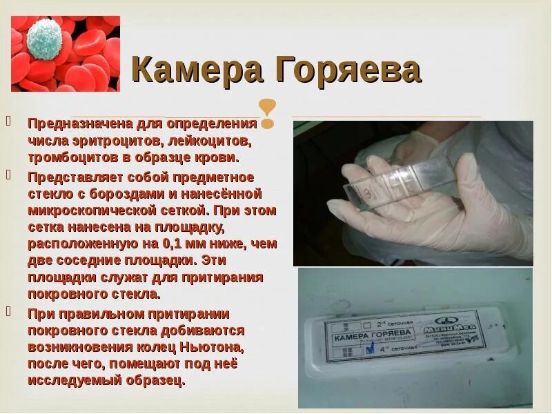 Методика подсчета эритроцитов. Подсчет форменных элементов в камере горяева. формула подсчета лейкоцитов в камере горяева в крови. лейкоциты и эритроциты в камере горяева. подсчет лейкоцитов и эритроцитов в камере горяева.