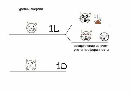 Стена шредингера