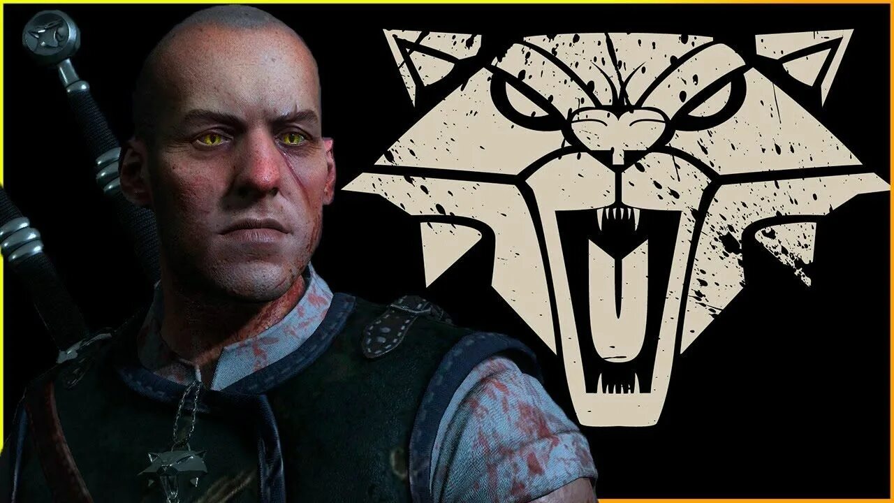 Ведьмак 3 коты. Черный кот ведьмак. Котик ведьмак. Ведьмак 1 алхимия эликсир. Ведьмак кошечка.