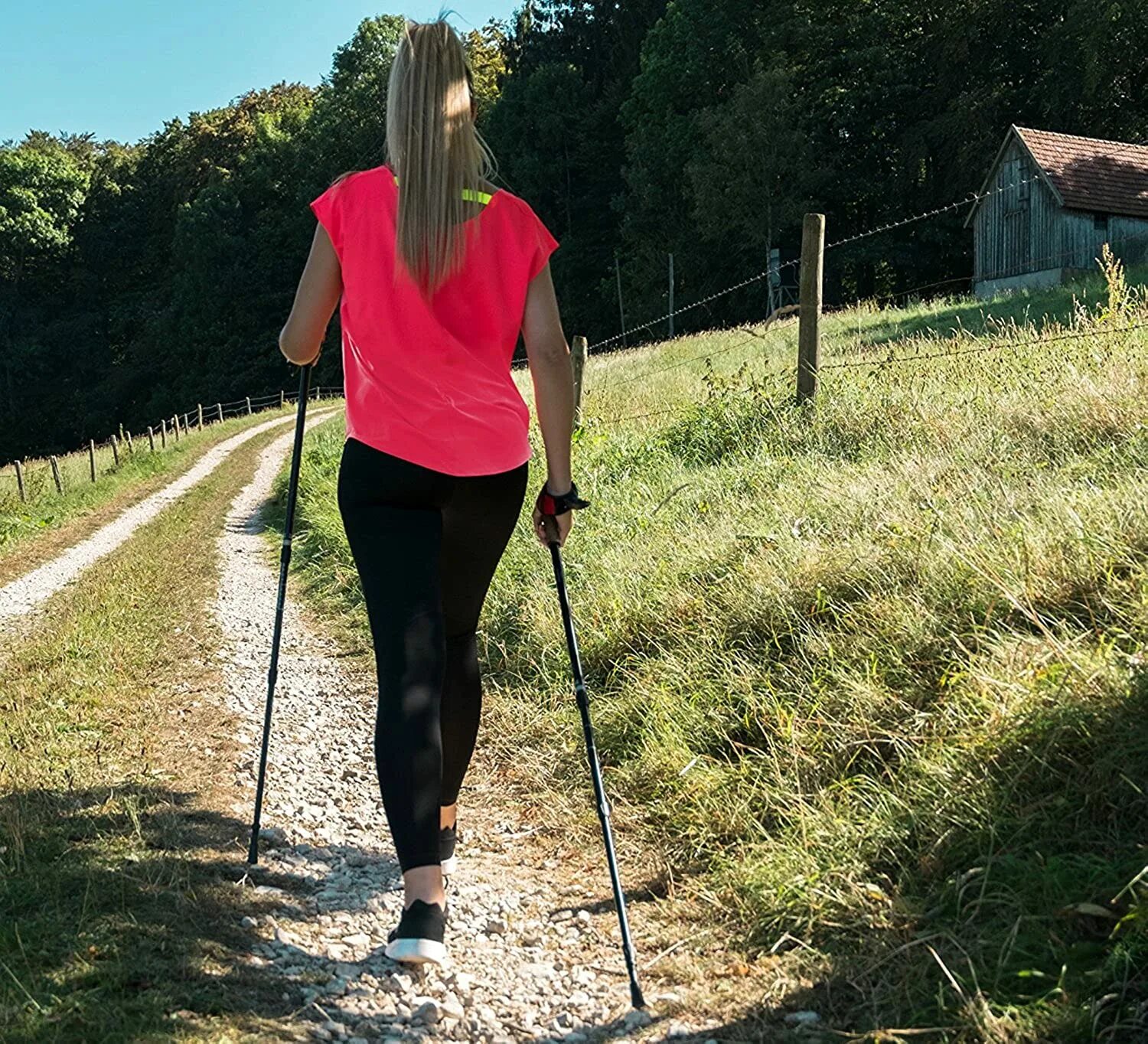 Nordic walk