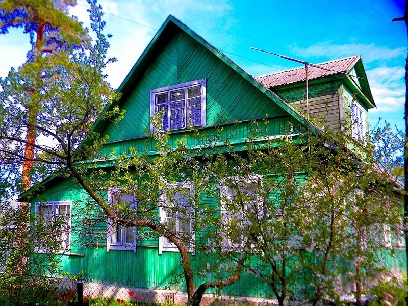 продается частный деревенский дом. горелово домики. дома с пропиской питере. вырица гатчинский район. дом с участком в деревне.