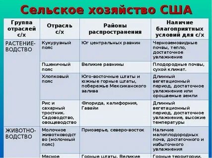 Ведущие отрасли хозяйства сша