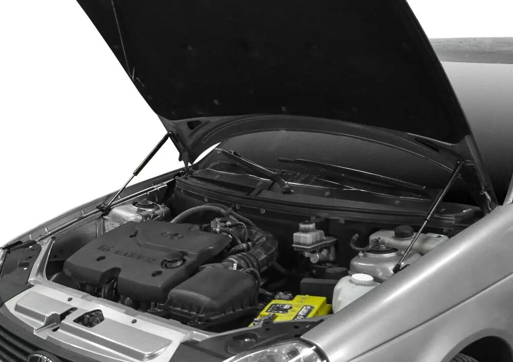 ) chevrolet equinox (2020-). Упоры капота лансер 10. Упоры капота отзывы. Амортизатор капота нива шевроле. ) chevrolet equinox (2020-).