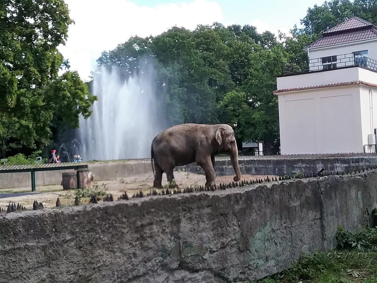 Сайт зоопарка калининграда