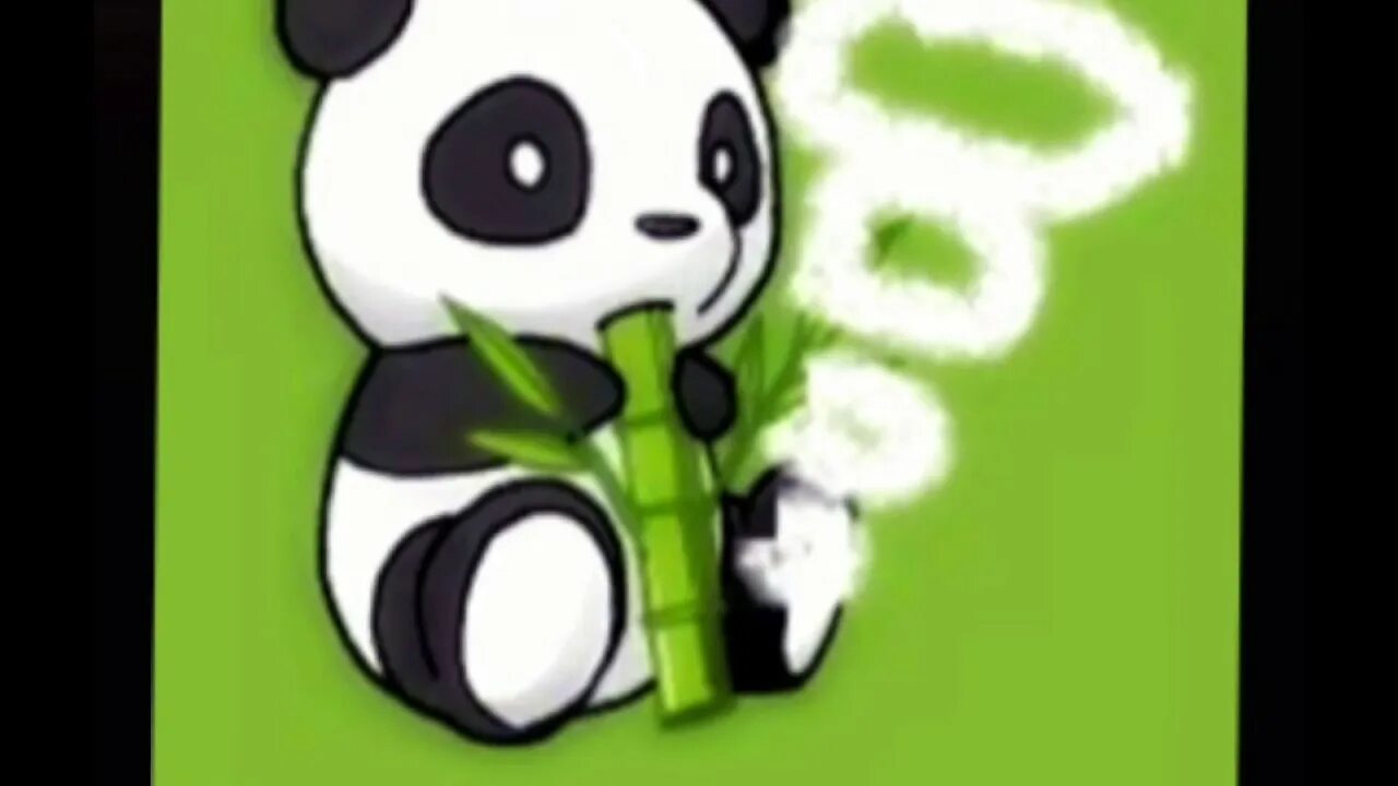 Panda 0