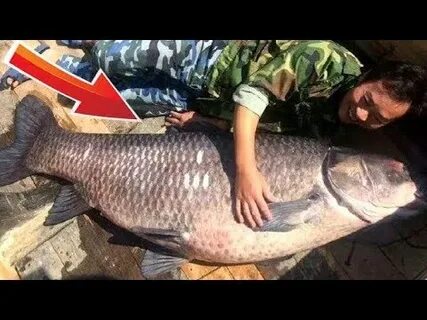 Самая большая рыба на удочку