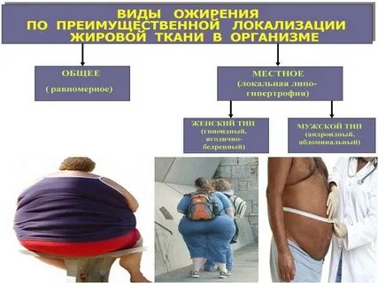 Ожирение простыми словами