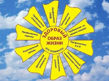 Мероприятия по основам здоровья