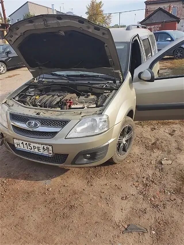 Чип тюнинг ежик. Чип тюнинг ежик