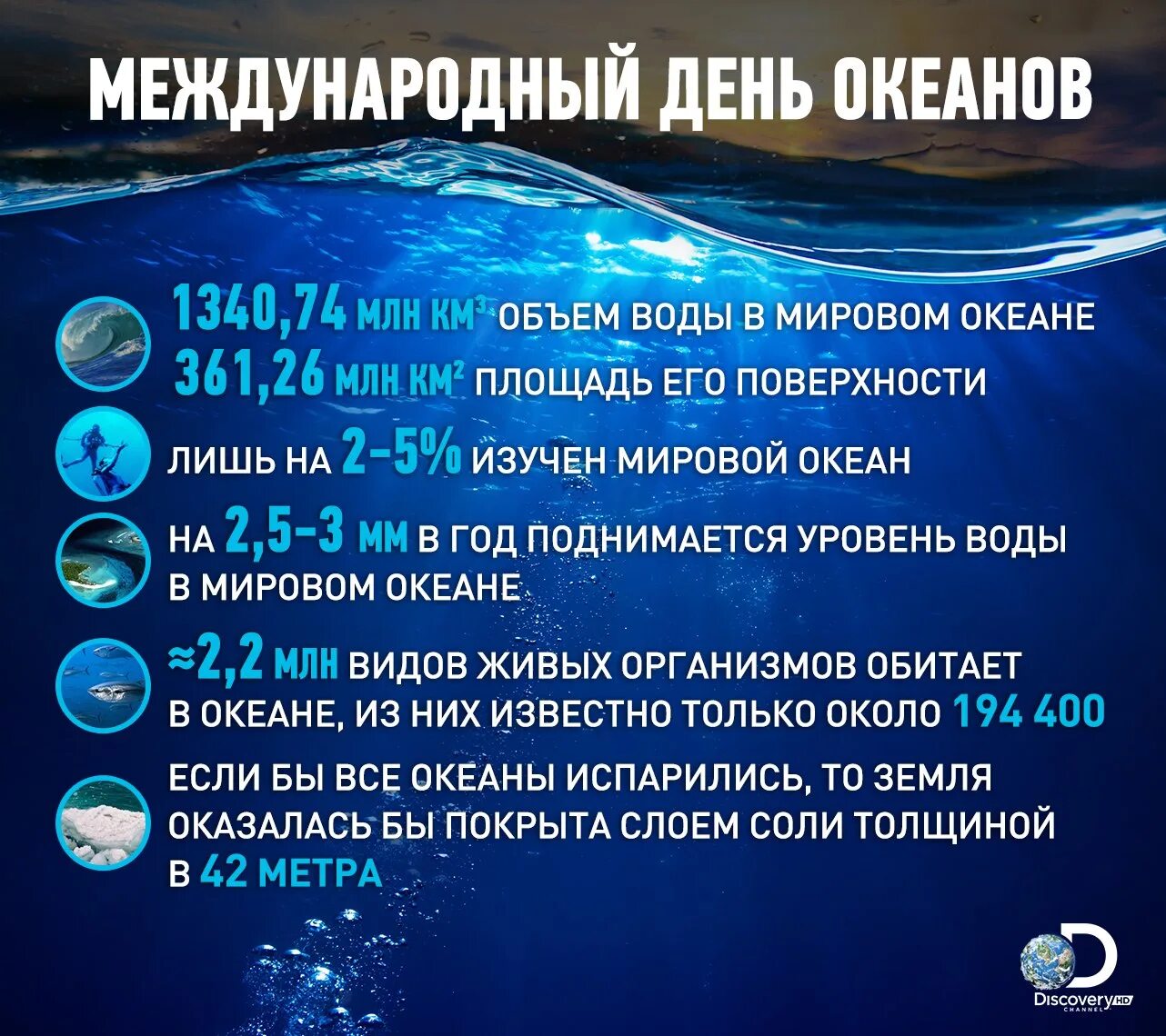 Океан изучен на 5. Насколько изучен мировой океан. На сколько процентов изучен океан. Насколько изучен океан в процентах. Процент изучения мирового океана.