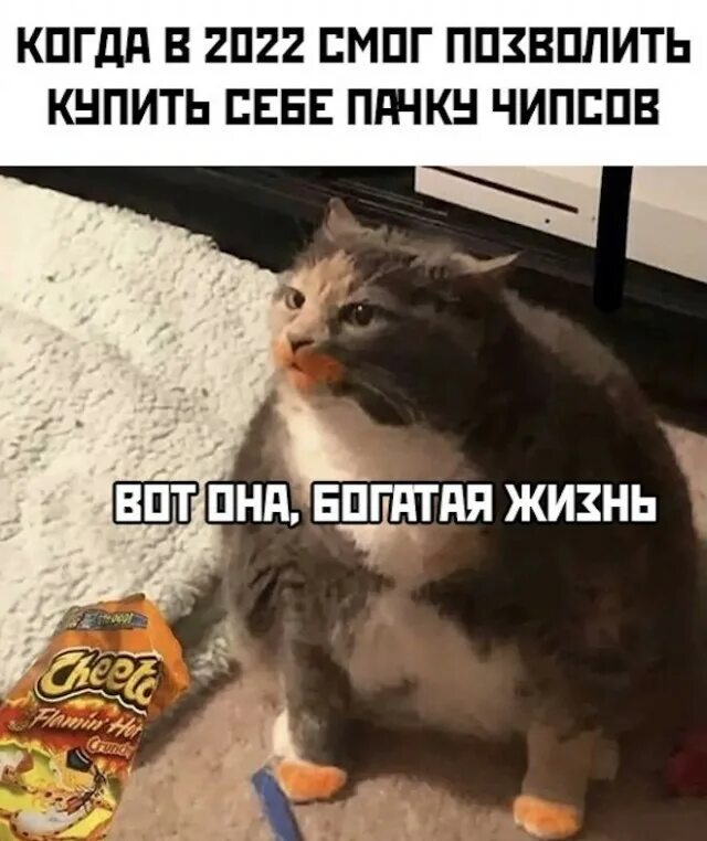 Смешной не понимающий что он смешной. Смешной не понимающий что он смешной