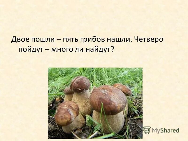 Сколько грибов нашла света. Найдите пять грибов. Двое пошли пять грибов нашли четверо пошли много ли нашли. Пять шагов в туесочке пять грибов. Елок 5 грибов меньше.