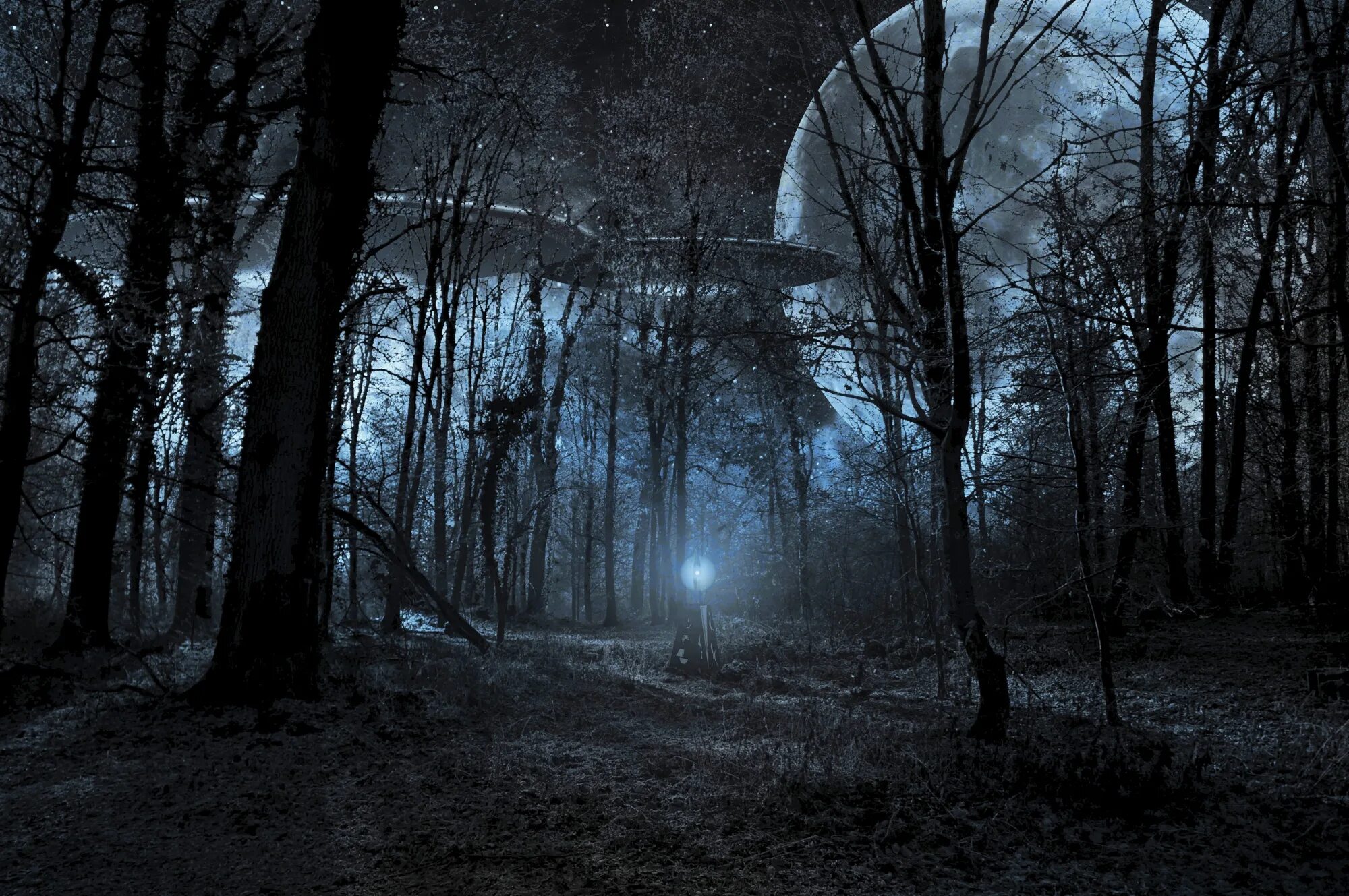 Загадочный конец. Страшный лес. Страшный ночной лес. Страшный лес ночью. Готический лес.