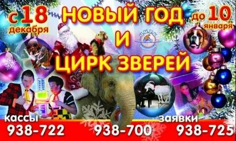 Цирк ижевск афиша