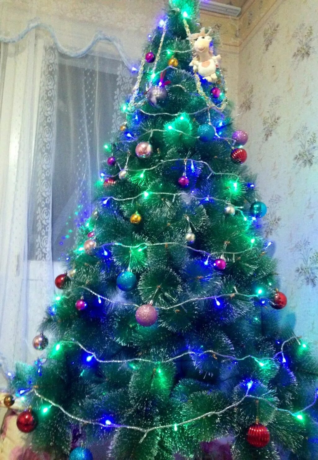 Новогодняя ель. Покажи фотографию елочки. Елка новогодняя красивая близко. Новогодняя елка. Новый год елка.