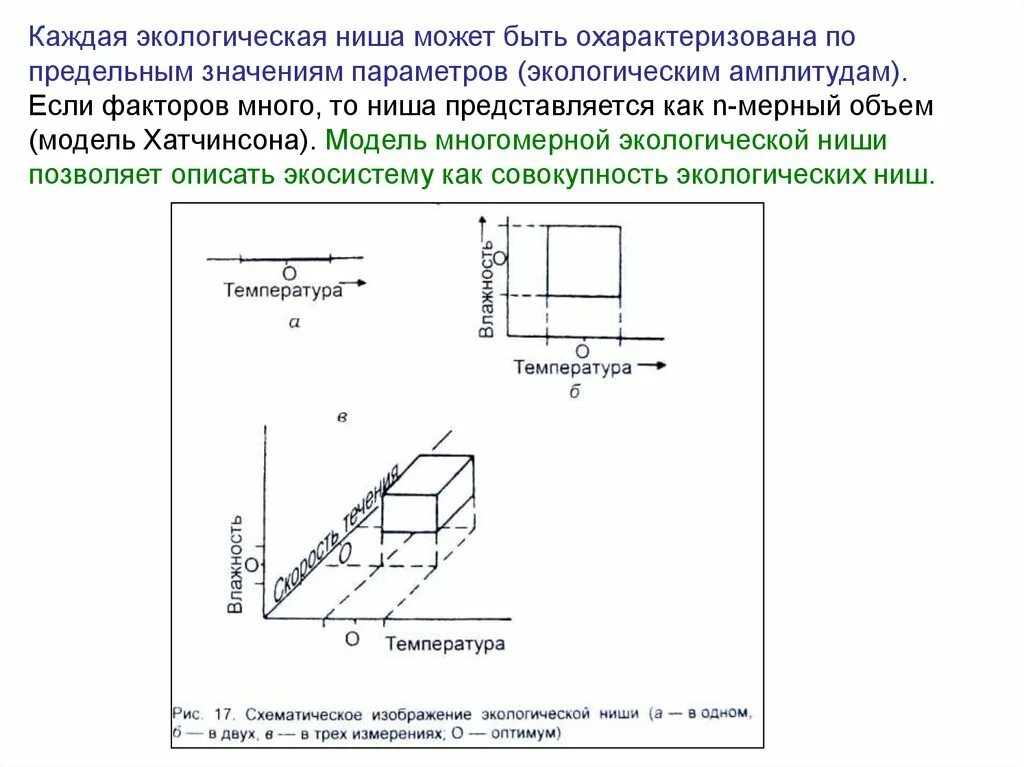 Экологической нишей является ярус. Модель экологической ниши хатчинсона. схематическое изображение экологической ниши. многомерная модель экологической ниши по хатчинсону. хатчинсон экологическая ниша.