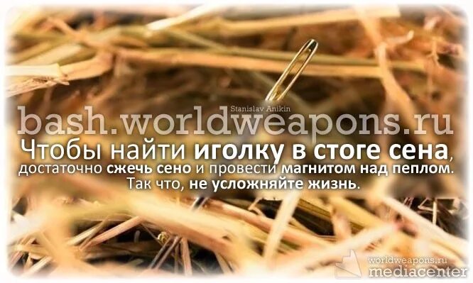 Найти иголку в стоге сена. Нашел в стоге сена цитаты. Цитаты про стог сена. Цитата про иголку в стоге сена. Как найти иголку в стоге сена.