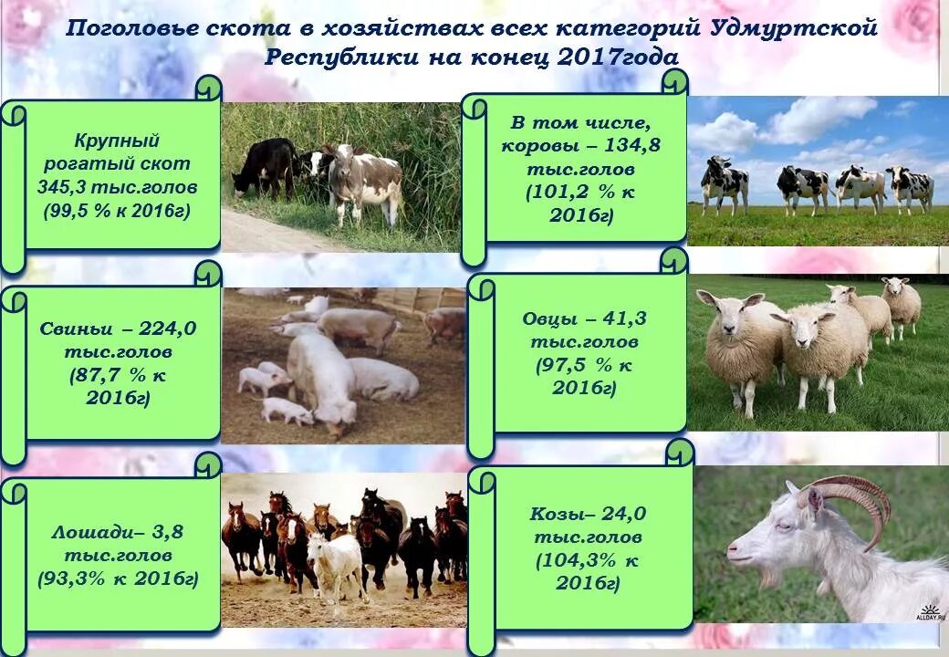 Поголовье крупного рогатого скота. Поголовье скота в РФ. Количество скота в хозяйстве. Поголовье скота инфографика.