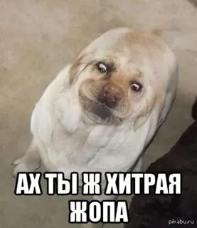 Ах ты это сделала