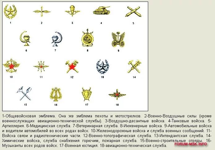 Ракетные войска стратегического назначения петлички. Нарцисс в петлице. Петлица слова из этих букв. Петлицы казачьи на липучках. Вкс ввс петличка.