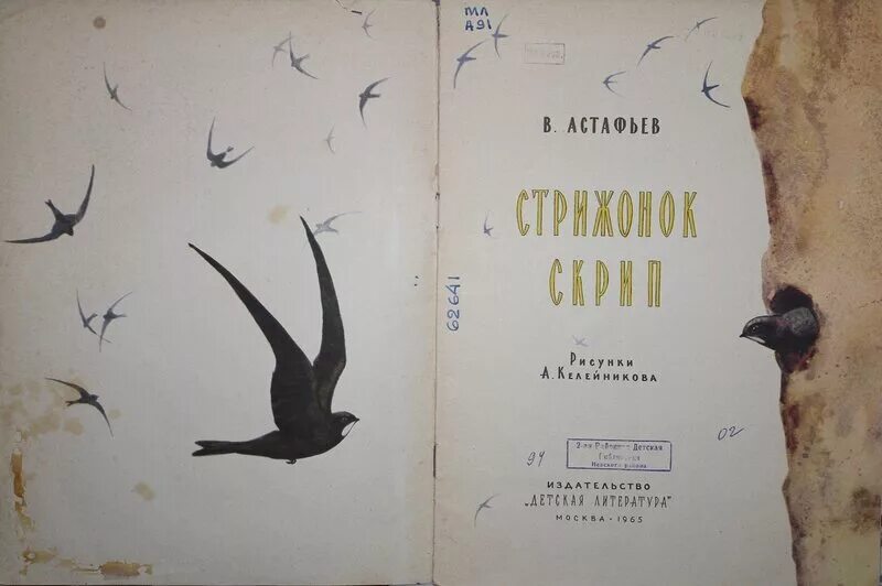 Функции перьевого покрова у птиц. Ежовые рукавицы испуганный стрижонок. Ежовые рукавицы испуганный стрижонок. "стрижонок скрип". Ежовые рукавицы испуганный стрижонок.