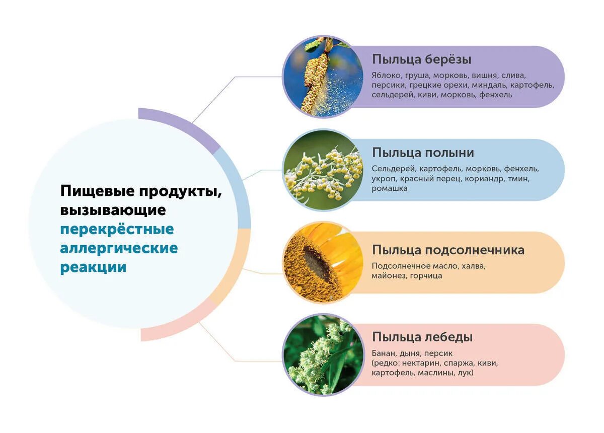 Перекрестная пищевая аллергия на пыльцу деревьев. Пыльца березы перекрестные аллергены. Поллиноз перекрестная аллергия продукты. Перекрестная реактивность аллергенов. Пыльца березы новосибирск