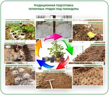 Какие удобрения под помидоры