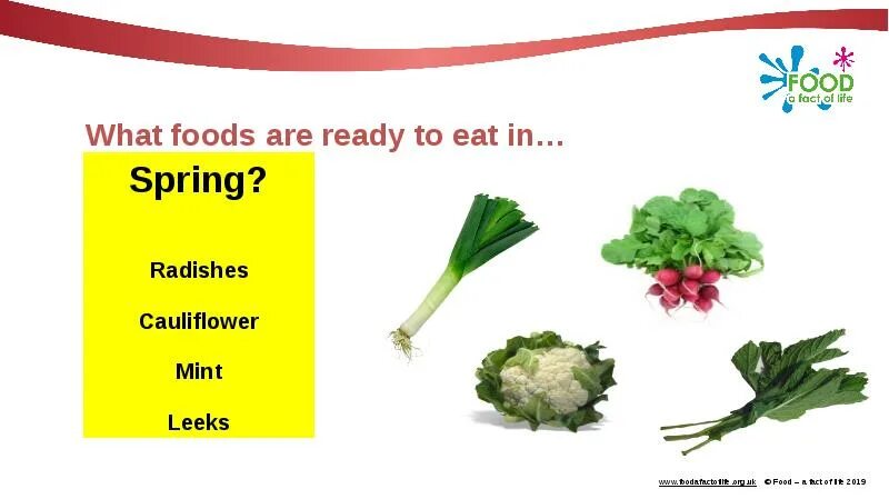 Sour food examples. What is nutrient photo. Foods are substances. Fat soluble vitamins. Белки жиры углеводы.