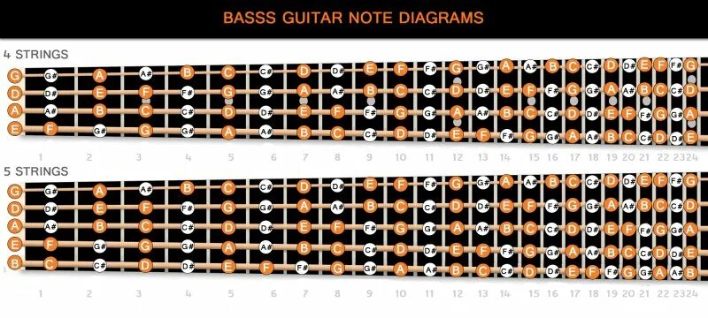 Басс ноты. Расположение нот на грифе бас гитары 4. Аппликатура бас гитары 4 струны. Ноты на грифе бас гитары 5 струн. Расположение струн на бас гитаре.