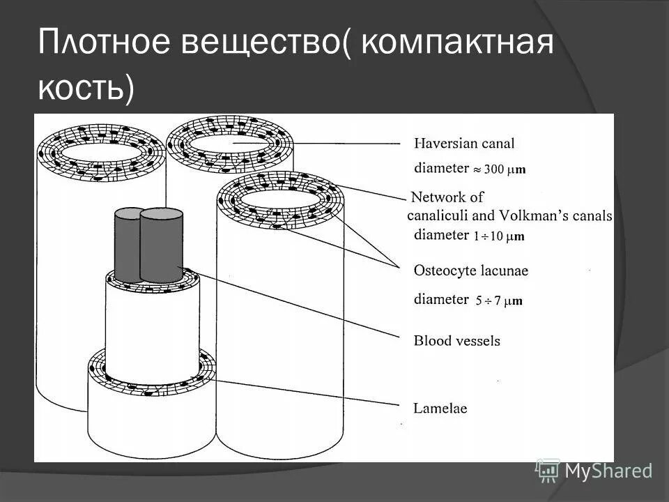 плотность вещества рисунок. плотное вещество. плотное вещество. плотное вещество. плотность.