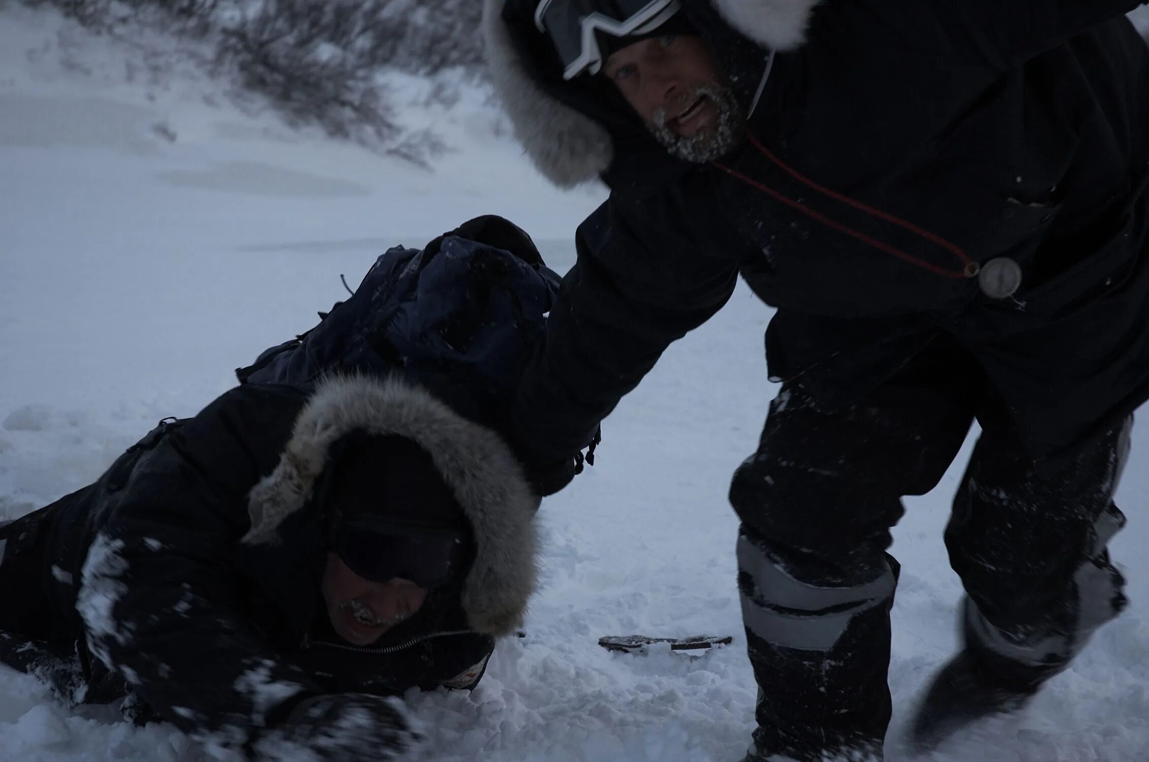 Последняя зима 2006. The last Winter, США, 2006. Фильм ужасов последняя зима.