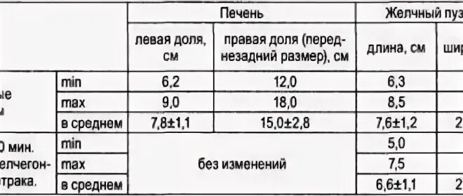 Размеры печени по возрастам