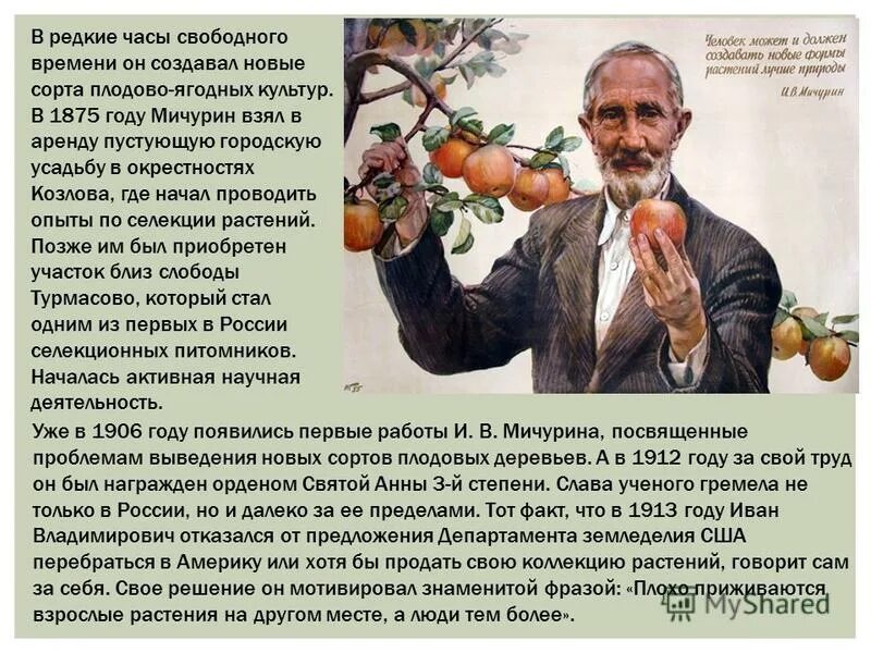 Появился новый сорт. Появился новый сорт