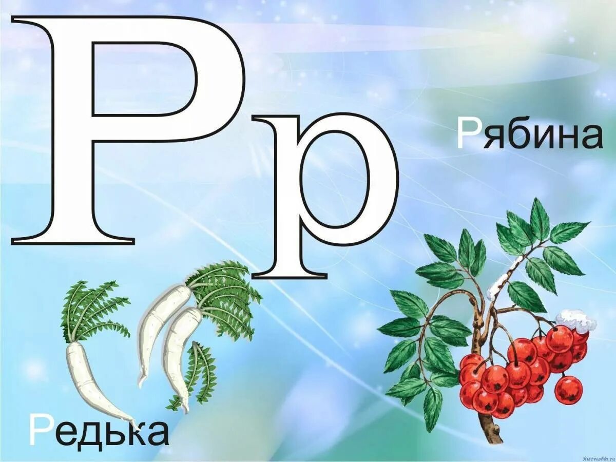 Буква р картинки. Фруктовая Азбука в картинках. Азбука буква р. Проект буква р. Фруктовая азбука