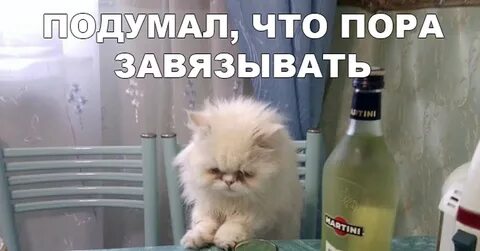 Не могу у