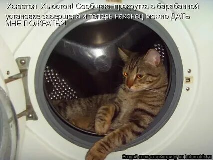 Включи давай на главную
