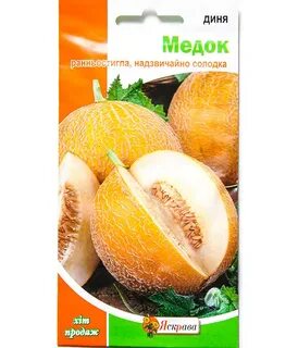 Дыня медок