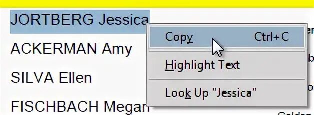 Failed to copy text. Copy text clicking.
