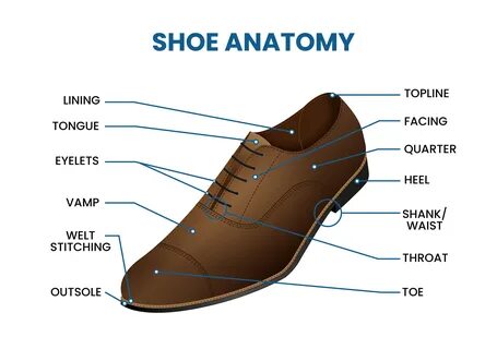 men's dress shoe anatomy.