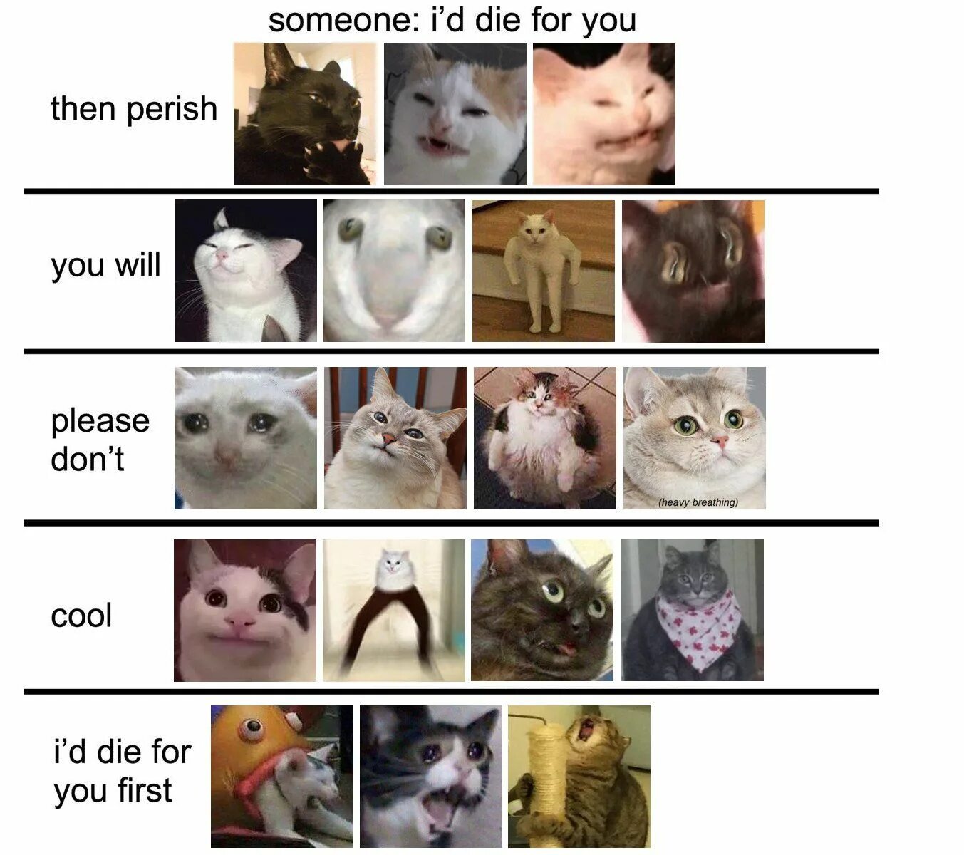 Which meme are you