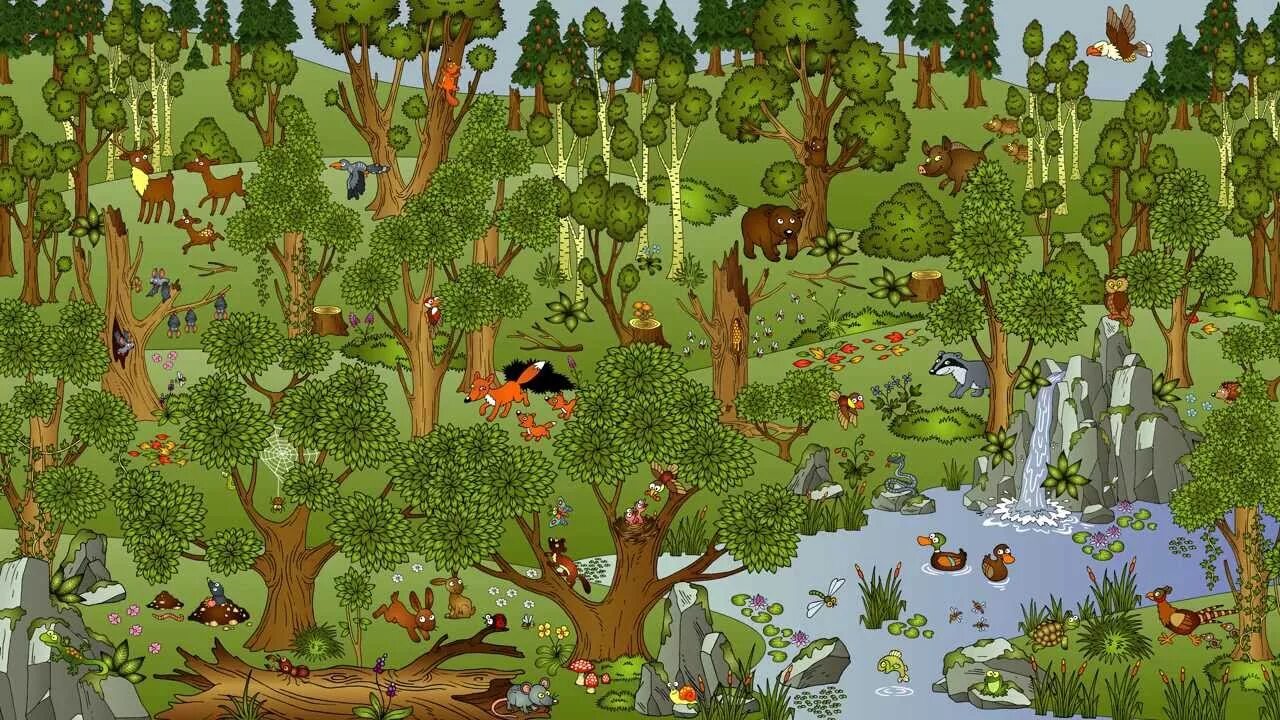 Can you see game