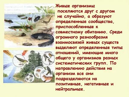Живое отношение к живой жизни