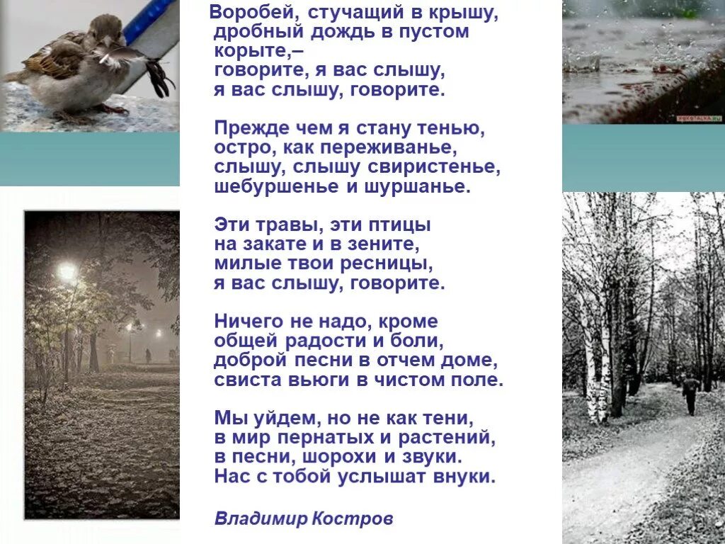 Дождь стучит по крышам текст. Дробный дождь это как. Дождь стучит по крыше книга. Предложение дождь стучал по крыше. Стучали по крыше падеж