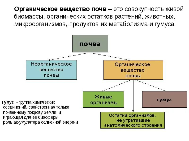 Основная ячейка управления при органическом менеджменте. Основания органические и неорганические 11 класс. Неорганические основания строение. Надорганические мотивационные системы. Органические системы примеры.