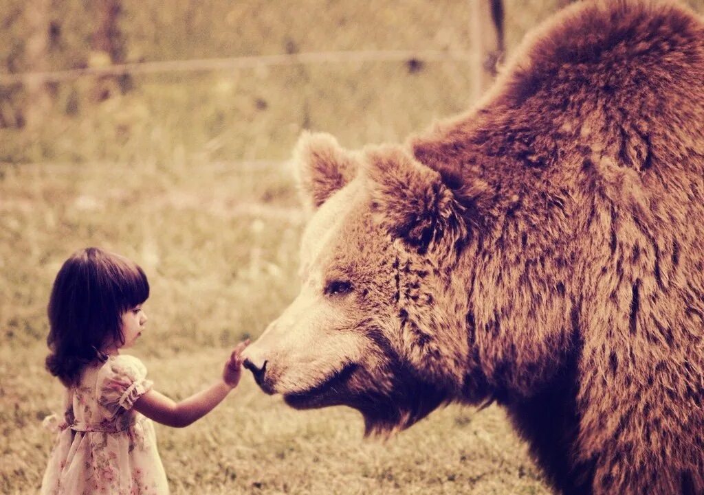 Какими бы не были сильными. Девочка и медведь. Медведь и маленькая девочка. Медведь обнимает. Девочка обнимает медведя.
