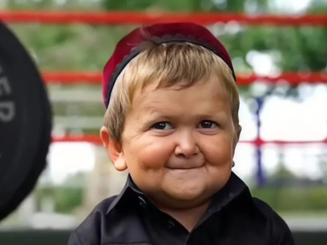 Чбд хазбик полный. Чбд хазбик полный. Чбд хазбик полный. Чбд хазбик полный. Вячеслав дусмухаметов чбд.